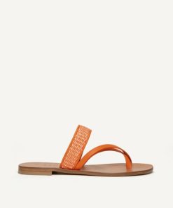Cartiqueio.shop152120d052 1