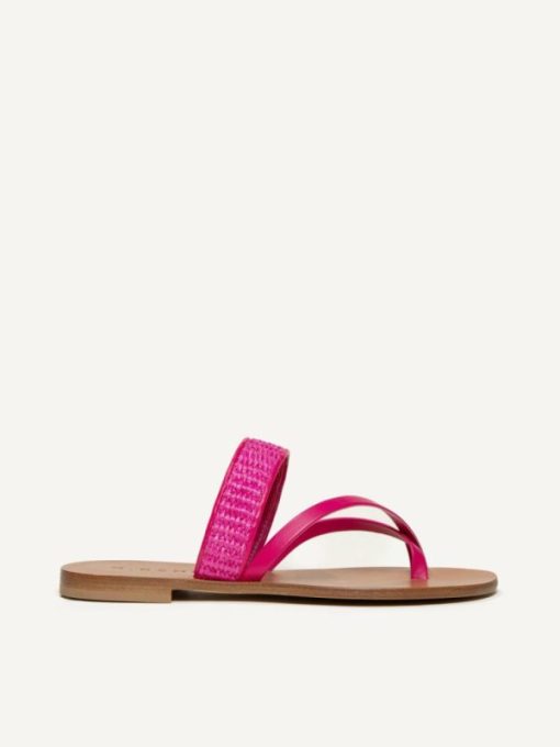 Cartiqueio.shop359f9e7f3e 1