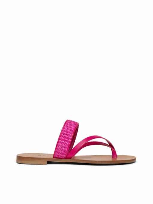 Cartiqueio.shop359f9e7f3e 6