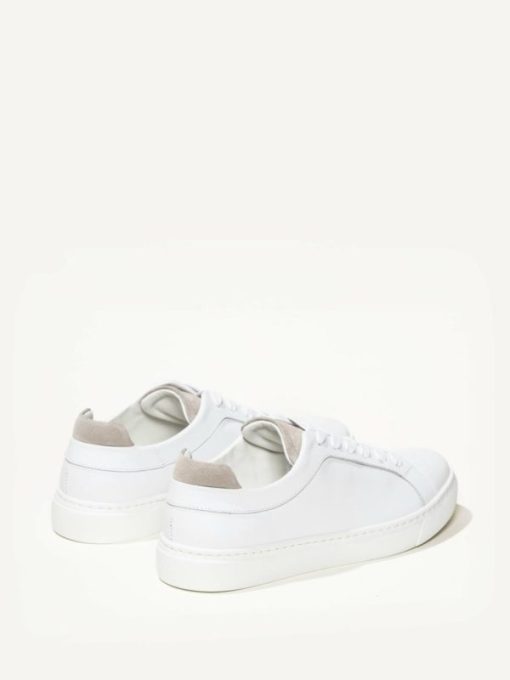 Cartiqueio.shop52f59396fb 4